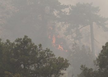 4 ilde orman yangını