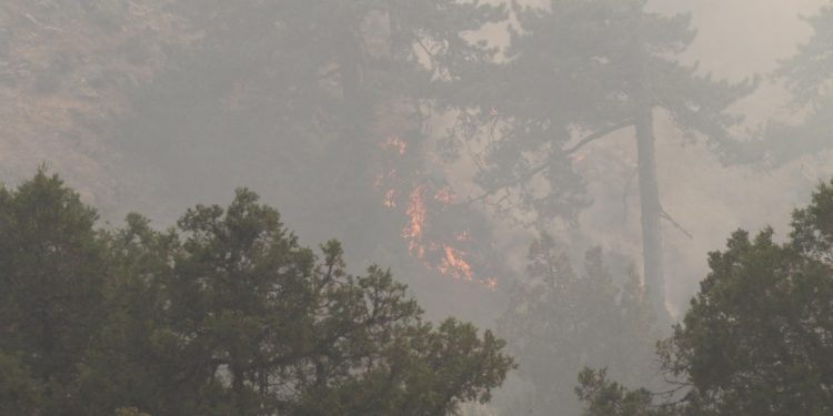 4 ilde orman yangını