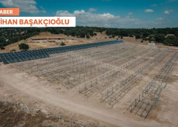 Akbelen’den sonra sıra Bergama’da: GES için 283 ağaç kesilecek