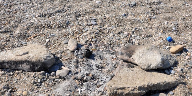 Caretta caretta yuvası üzerinde mangal yaktılar