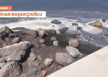 Edremit Körfezi’nde kirlilik artıyor: ‘Denize giren hastalanıyor’