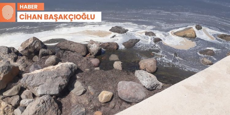 Edremit Körfezi’nde kirlilik artıyor: ‘Denize giren hastalanıyor’
