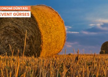 Ekonomi Dünyası: Maserati satışları dörde katlanırken bir gıda krizine hazırlıklı mıyız?