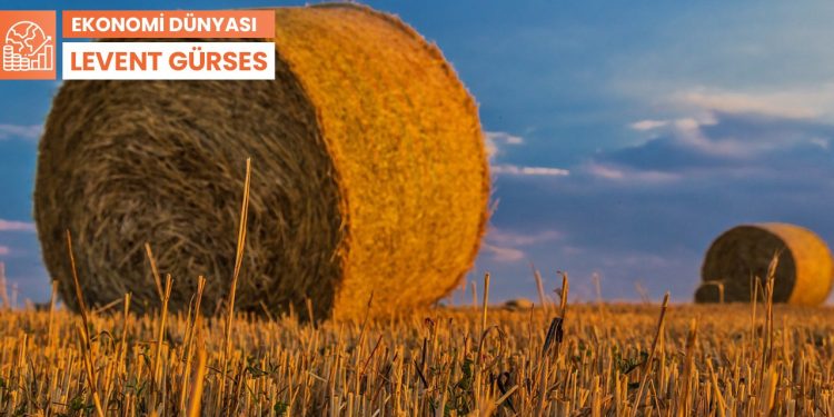 Ekonomi Dünyası: Maserati satışları dörde katlanırken bir gıda krizine hazırlıklı mıyız?