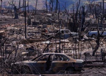 Hawaii’de ölü sayısı 111’e yükseldi: Acil Durum Yönetimi Başkanı istifa etti