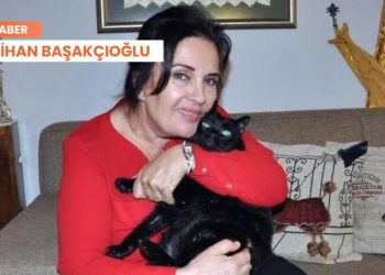 Hayvana işkence yapanlar şikayet etti, Funda Bayrı tutuklandı: İzin vermeyeceğiz