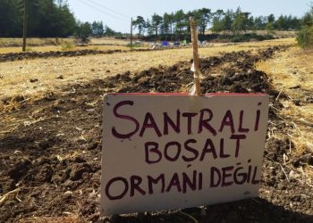 İkizköylülerden Akbelen Ormanı için çağrı: Tüm yurttaşları pazar günü yanımızda görmek istiyoruz