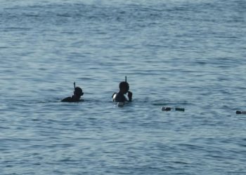 MSB: Şile’de bulunan top mermileri 2. Dünya Savaşı’ndan kalma