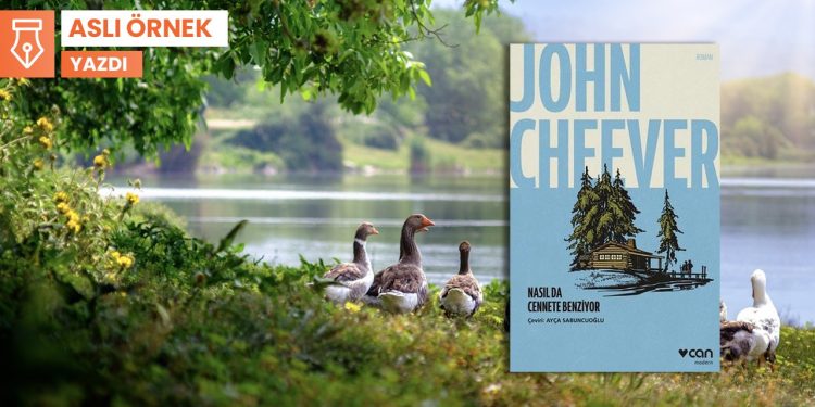 Orada bir doğa harikası var uzakta, orası bizim, hepimizin!