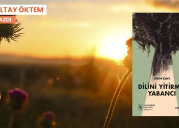 Bir ağacın gövdesine kendini çakıyla kazıyan şair