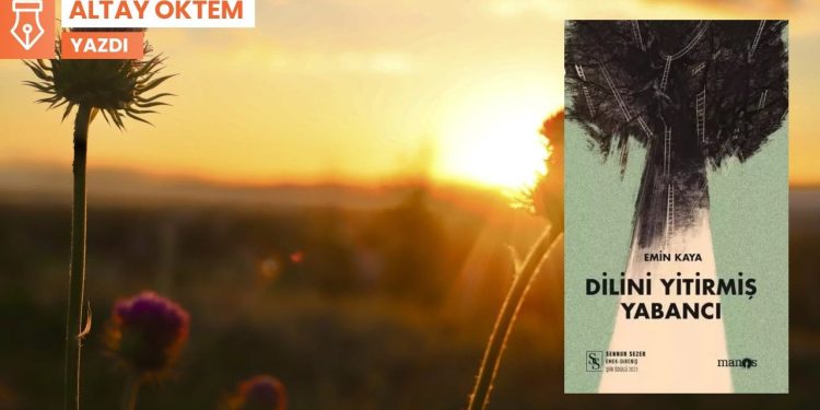 Bir ağacın gövdesine kendini çakıyla kazıyan şair