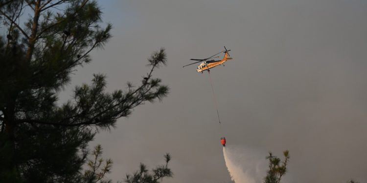 Çanakkale orman yangınında son durum: Bakan Yumaklı ve Yerlikaya’dan açıklama