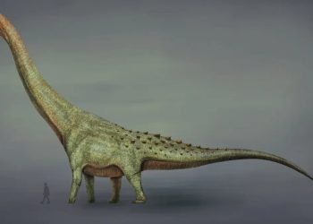 Avrupa’nın en büyük ‘titanı’: 122 milyon yıl önce yaşamış