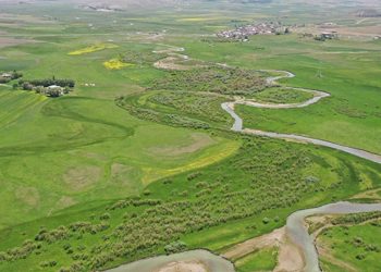 Koza Altın, Murat Nehri’ni tehdit ediyor: Yüzlerce ton kimyasal…