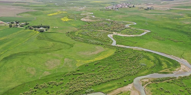 Koza Altın, Murat Nehri’ni tehdit ediyor: Yüzlerce ton kimyasal…