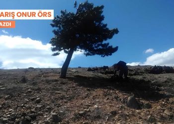 Antroposen’e yerelden bakmak