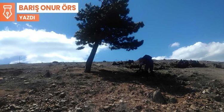 Antroposen’e yerelden bakmak